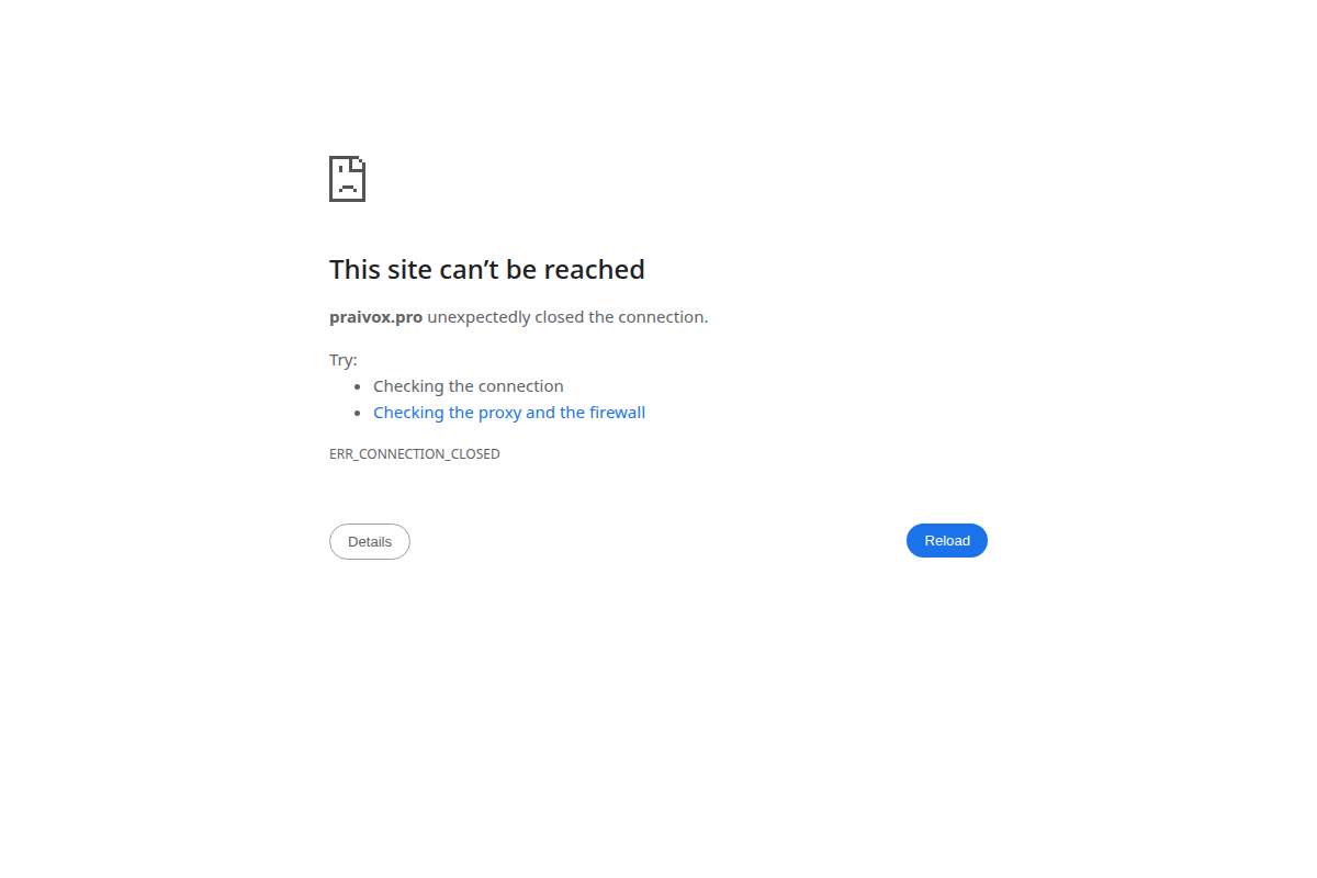 Praivox.pro Review.